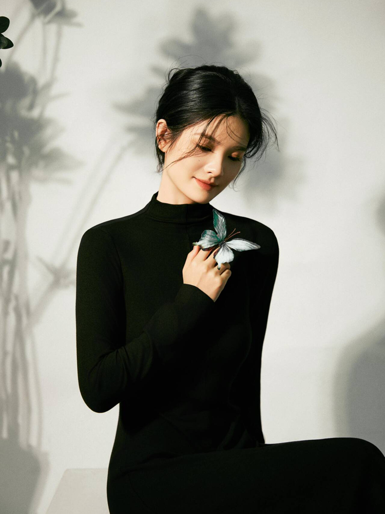 Photography Lighting Style - New Simple Chinese Style High-End Black