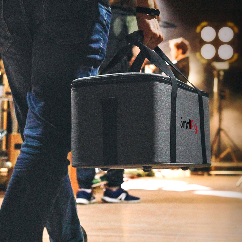 Small Rig RC220D RC220B Bi-Col - Photography Lighting Rig review and price