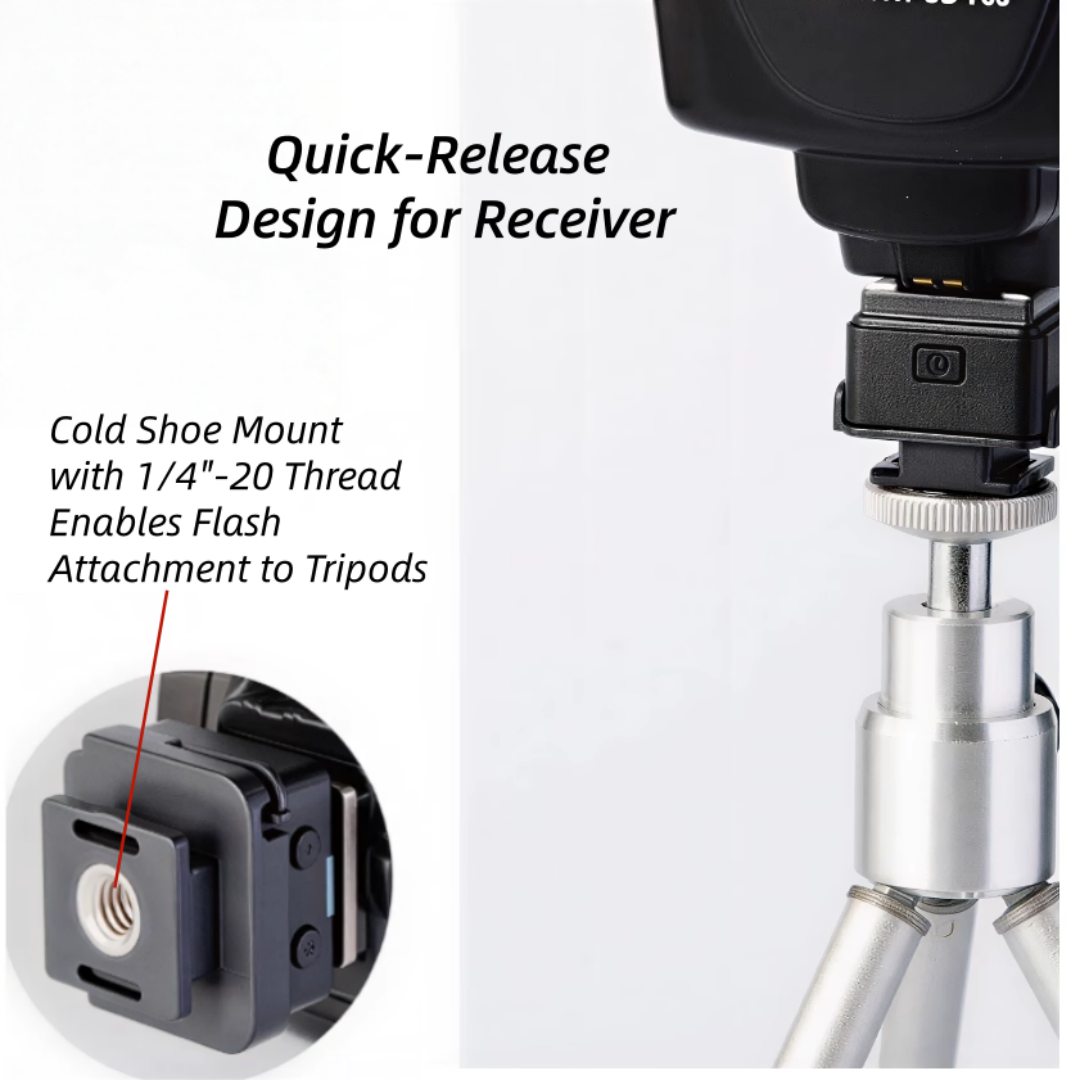 Universal FlashQ T2 Wireless F - Trigger Receiver Set review and price