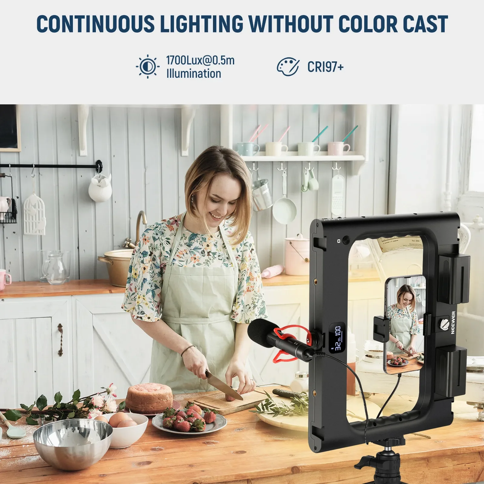 NEEWER A111 II Smartphone Vide - Photography Lighting Rig review and price