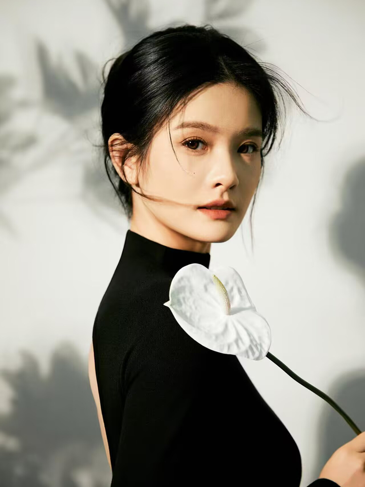 New Simple Chinese Style High- - Photography Lighting Style review and price